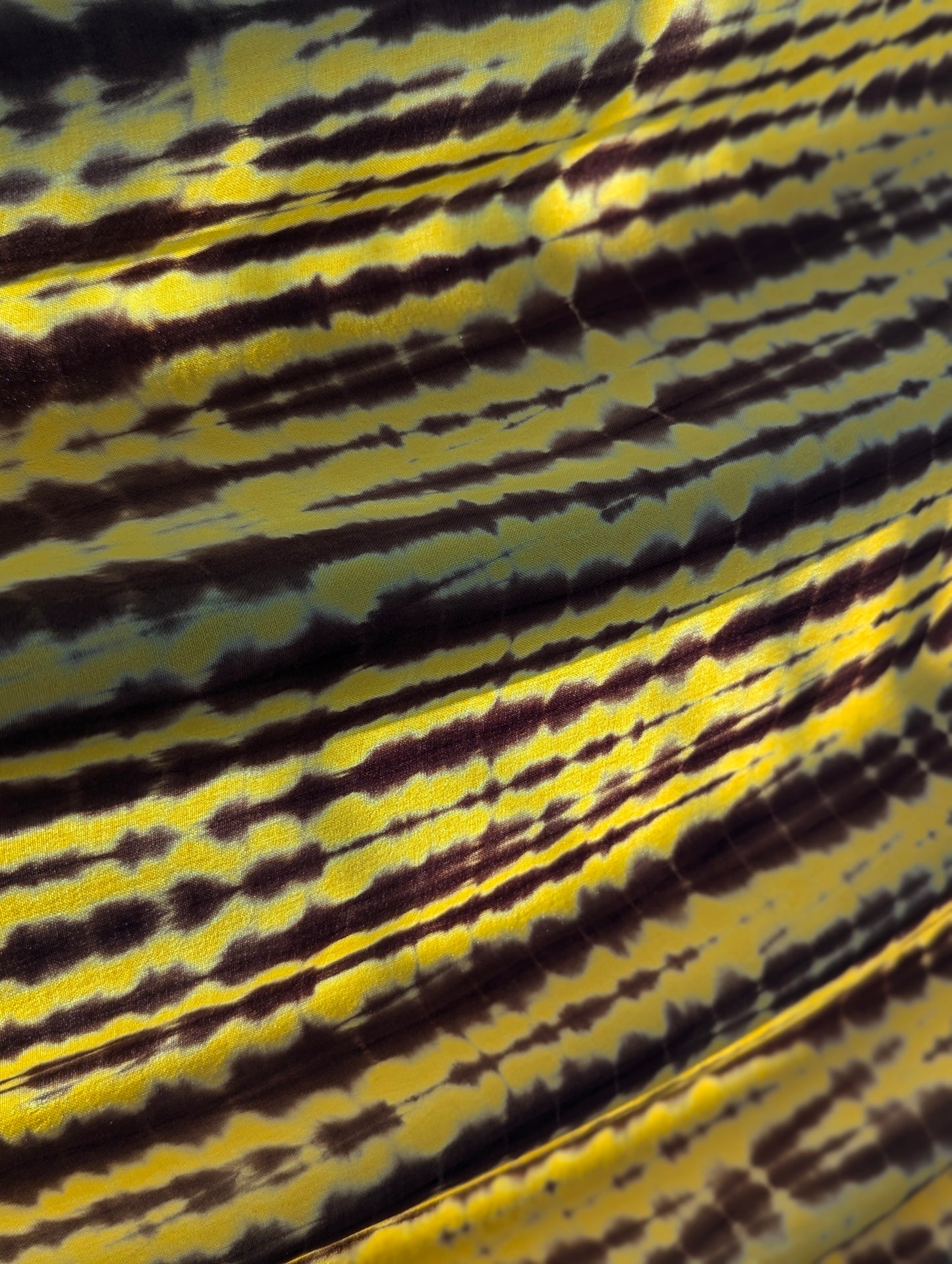 Rayon | Zebra in Sahara