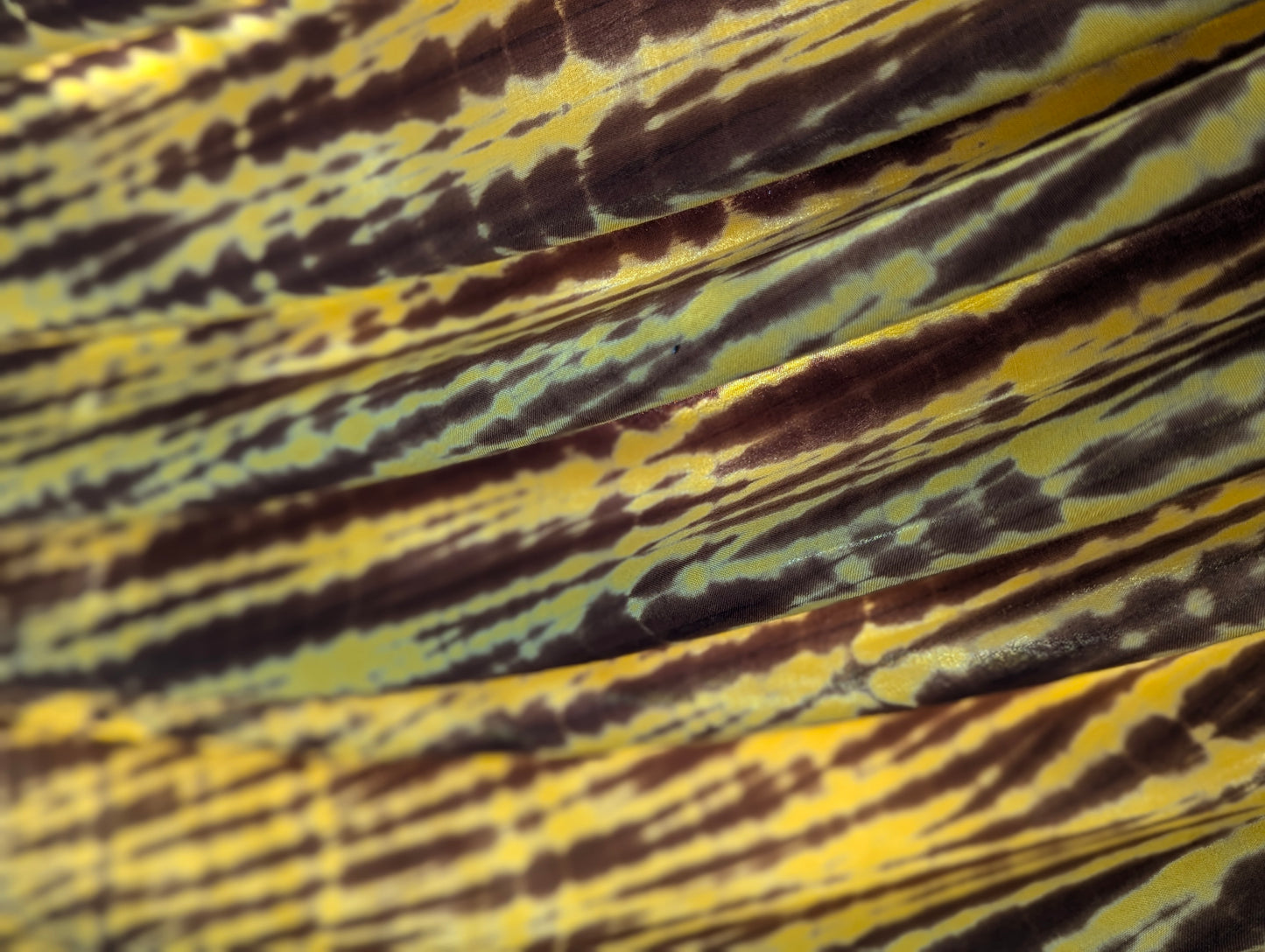 Rayon | Zebra in Sahara