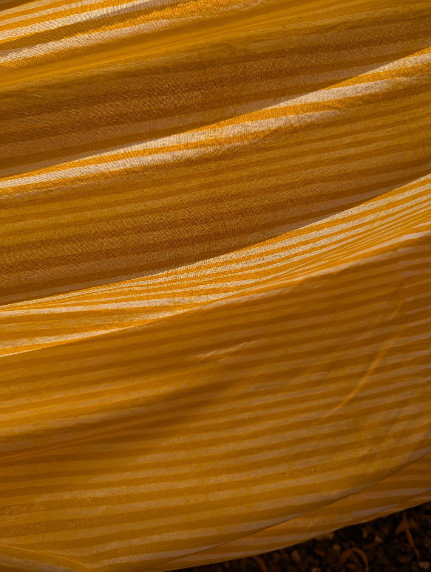 Batik | Beeline in Banana