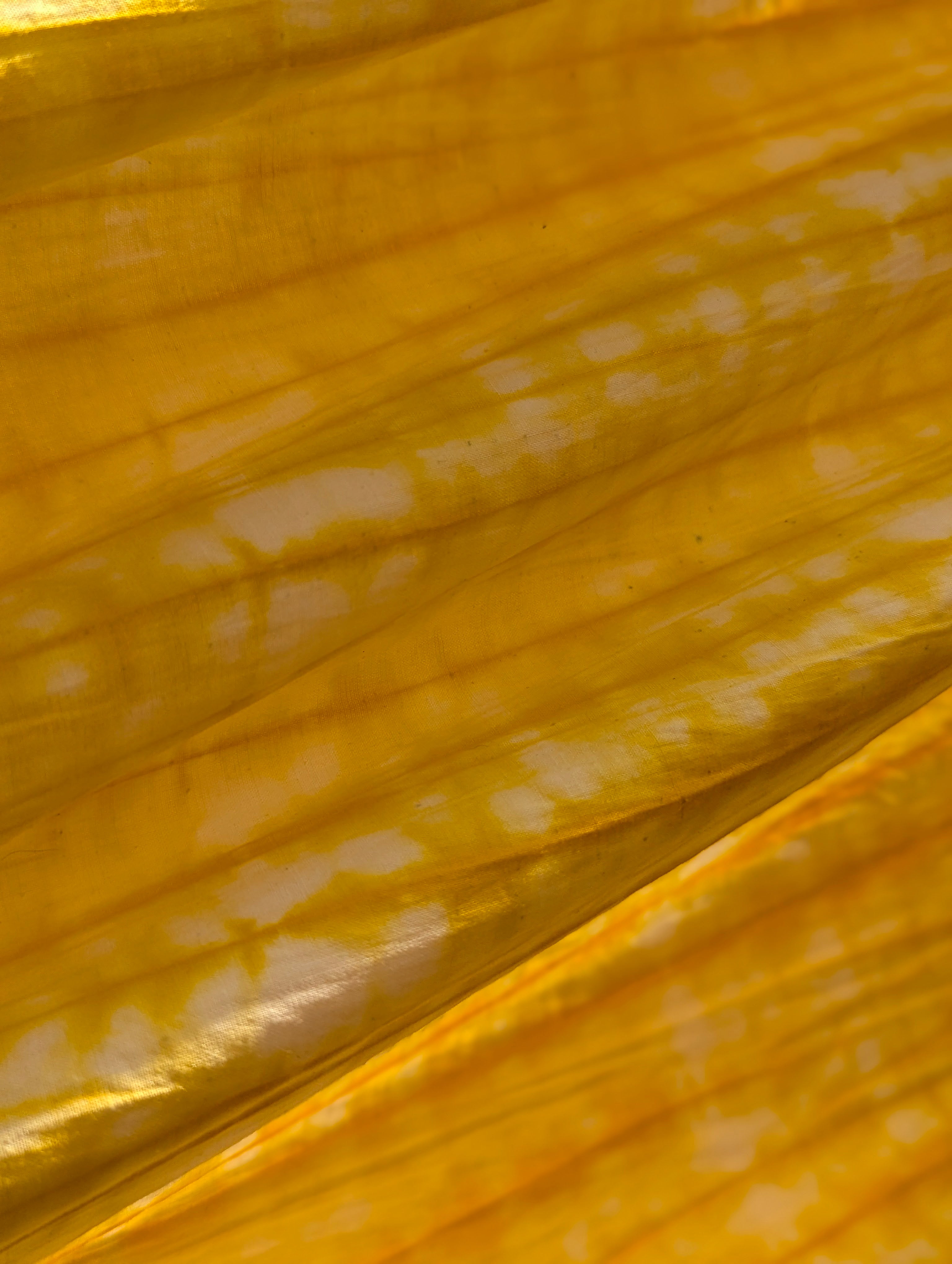 Tie-dye | Zebra in yellow