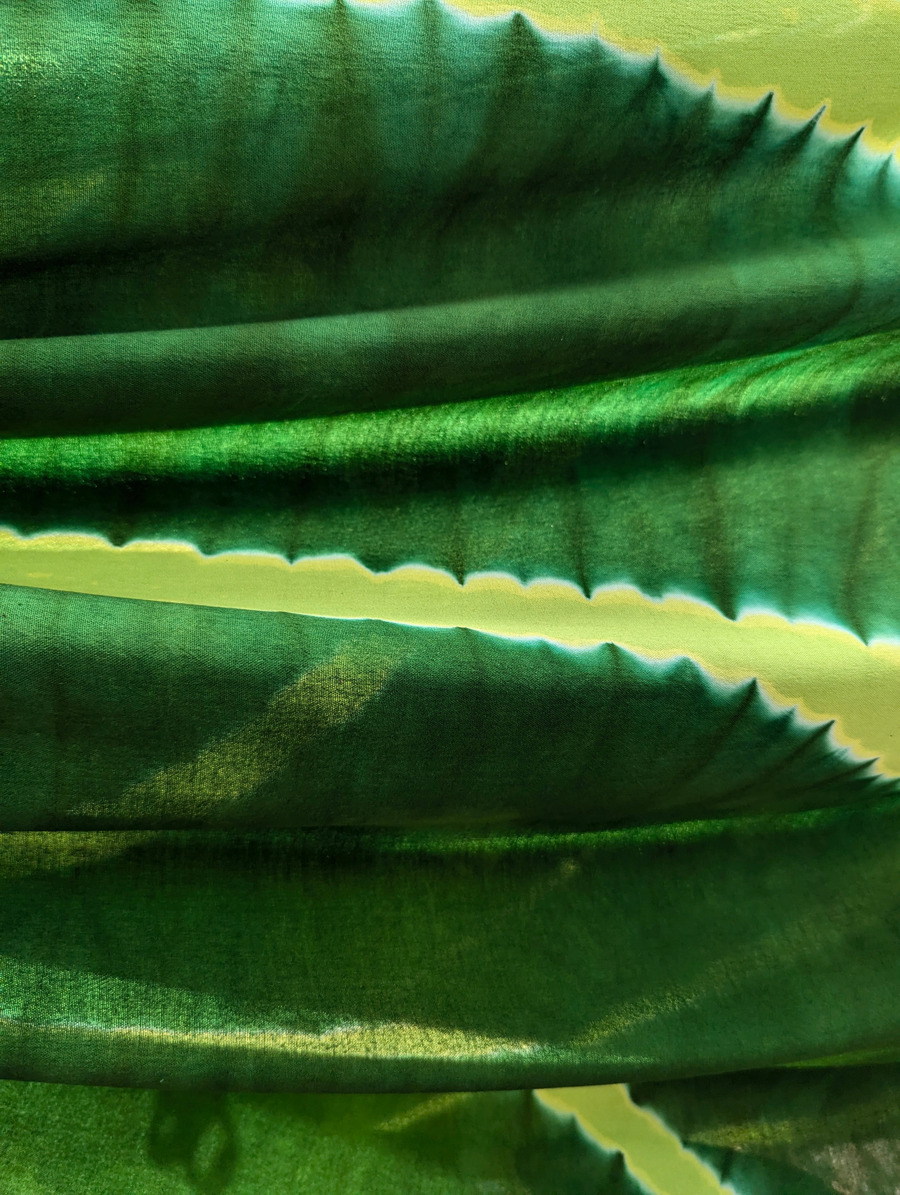 Rayon | Curve in Lime