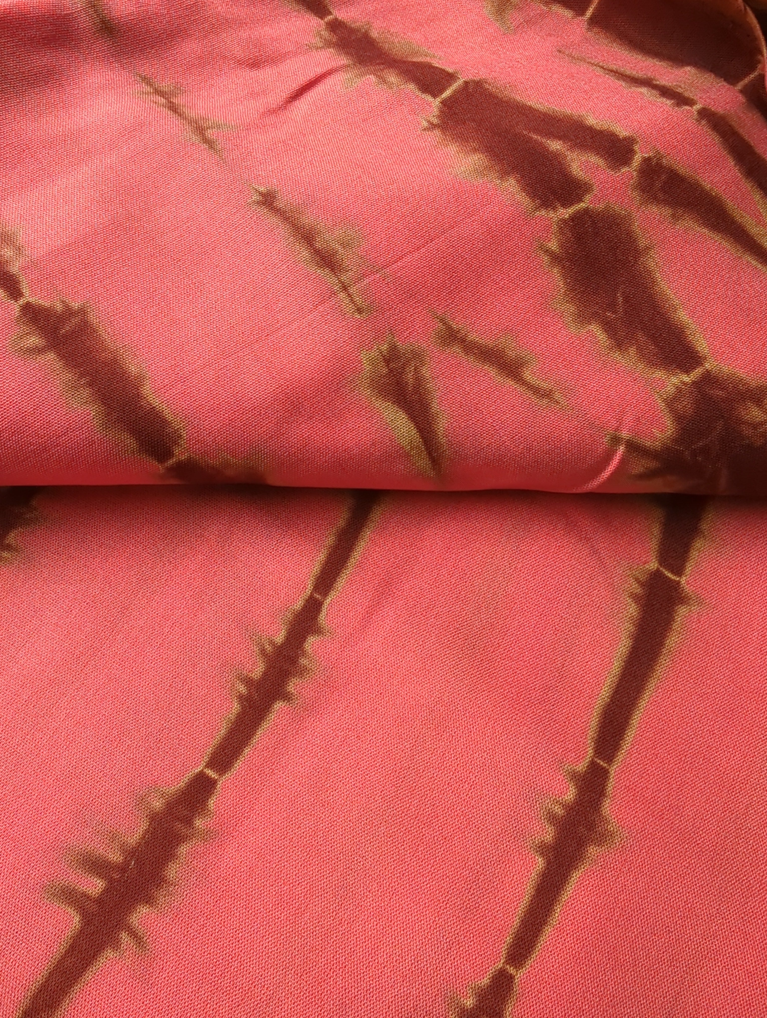 Rayonne de
Mauritanie | Coral