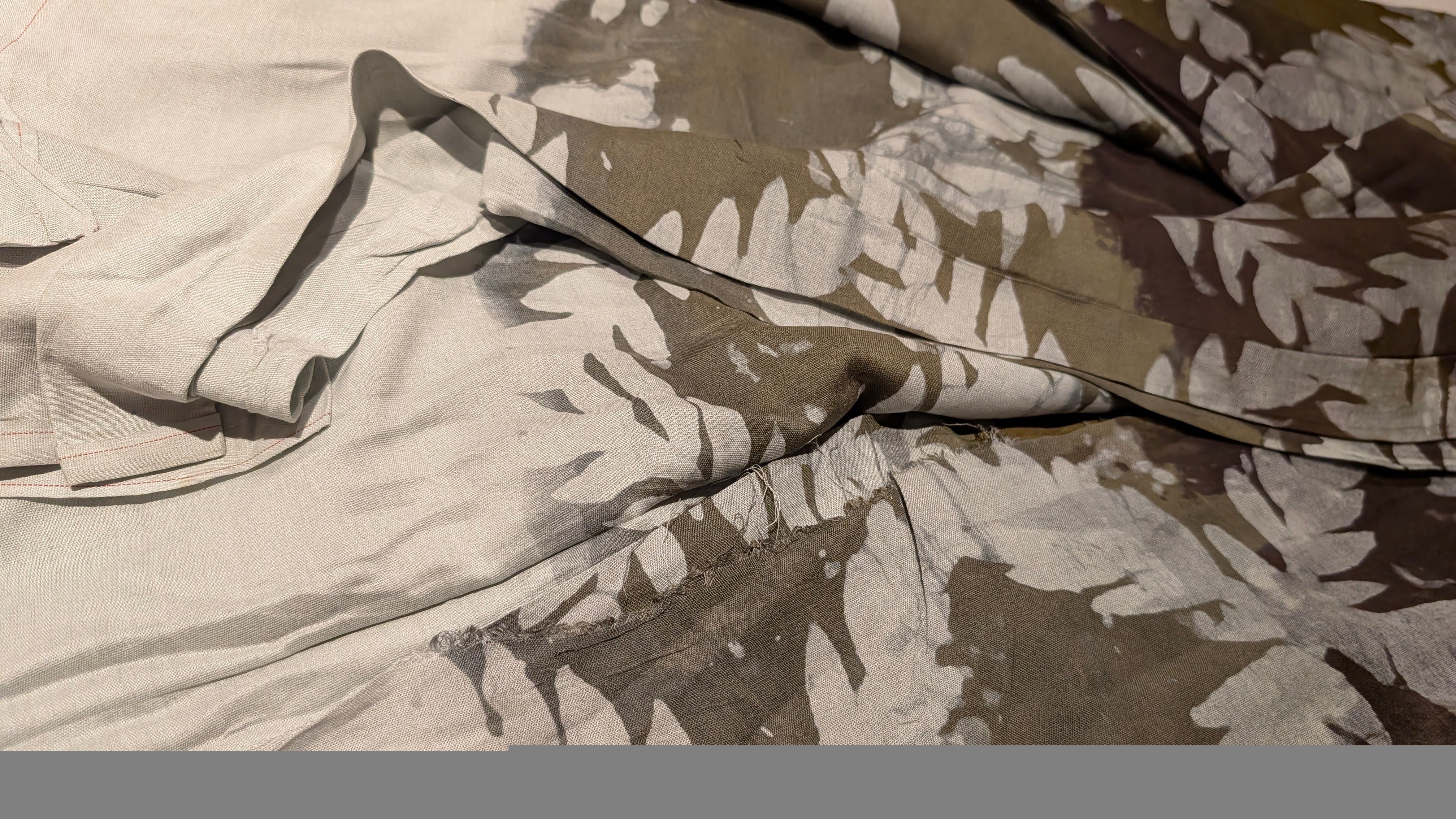 Sugar Tail | Rayonne de Mauritanie